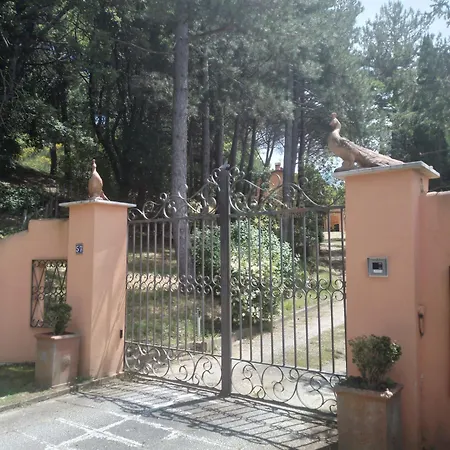 El Pavo Real 公寓